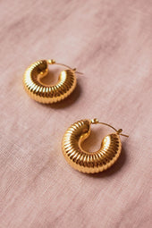 Pendientes de concha marina