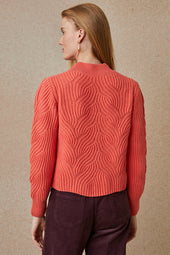 Pull Corail