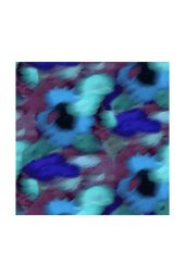 Foulard en soie Flora Aquatique