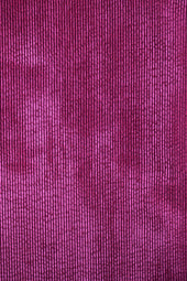 Camellia velvet pants Idéaliste