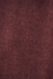 Pantalon Idéaliste en velours Cappuccino